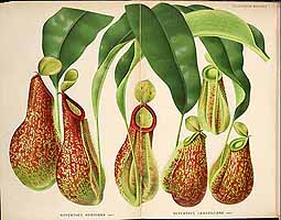  no thumbnail available