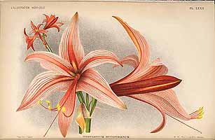  no thumbnail available