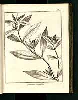  no thumbnail available