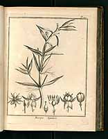  no thumbnail available