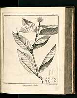  no thumbnail available