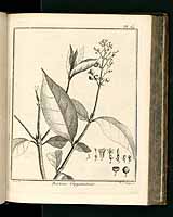  no thumbnail available