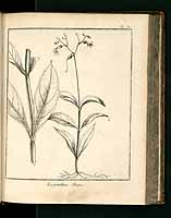  no thumbnail available