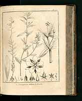  no thumbnail available