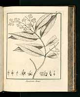  no thumbnail available