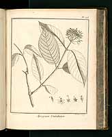  no thumbnail available