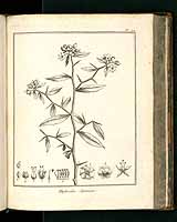  no thumbnail available