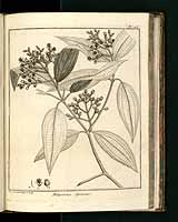  no thumbnail available