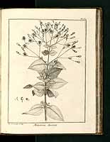  no thumbnail available