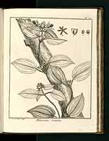  no thumbnail available