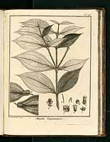  no thumbnail available