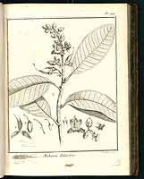  no thumbnail available