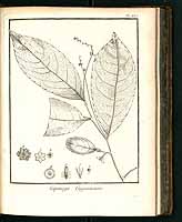  no thumbnail available