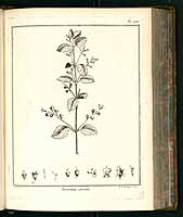  no thumbnail available