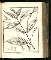  no thumbnail available