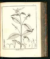  no thumbnail available