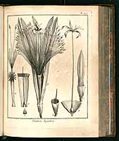  no thumbnail available