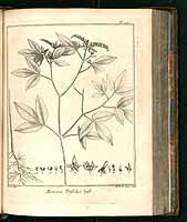  no thumbnail available