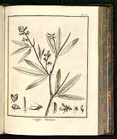  no thumbnail available