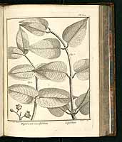  no thumbnail available