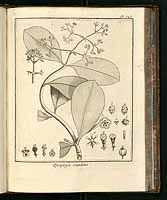  no thumbnail available