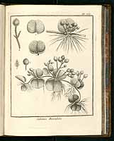  no thumbnail available