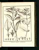  no thumbnail available