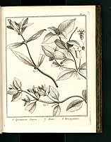  no thumbnail available