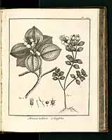  no thumbnail available