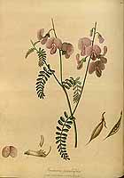  no thumbnail available