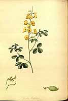  no thumbnail available