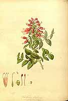  no thumbnail available