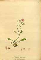  no thumbnail available