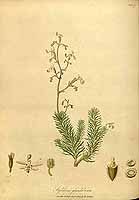  no thumbnail available