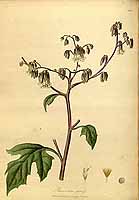  no thumbnail available