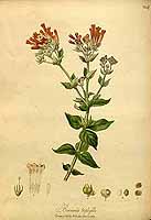  no thumbnail available