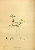  no thumbnail available