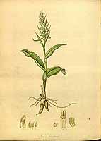  no thumbnail available