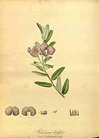  no thumbnail available