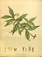  no thumbnail available