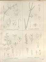  no thumbnail available