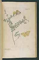  no thumbnail available