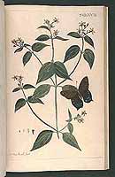  no thumbnail available