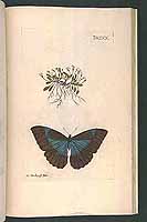  no thumbnail available