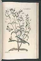  no thumbnail available