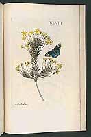  no thumbnail available