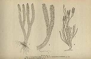  no thumbnail available