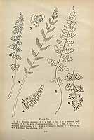  no thumbnail available