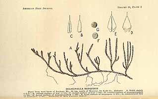  no thumbnail available