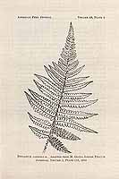  no thumbnail available